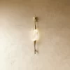 1 1217.webp