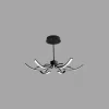 10 349.webp