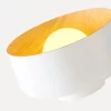 10 43.webp