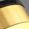 10 557.webp