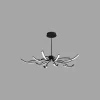 12 264.webp