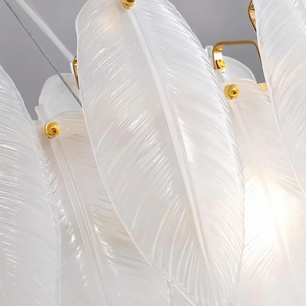 1 3.jpg 13 60.webp