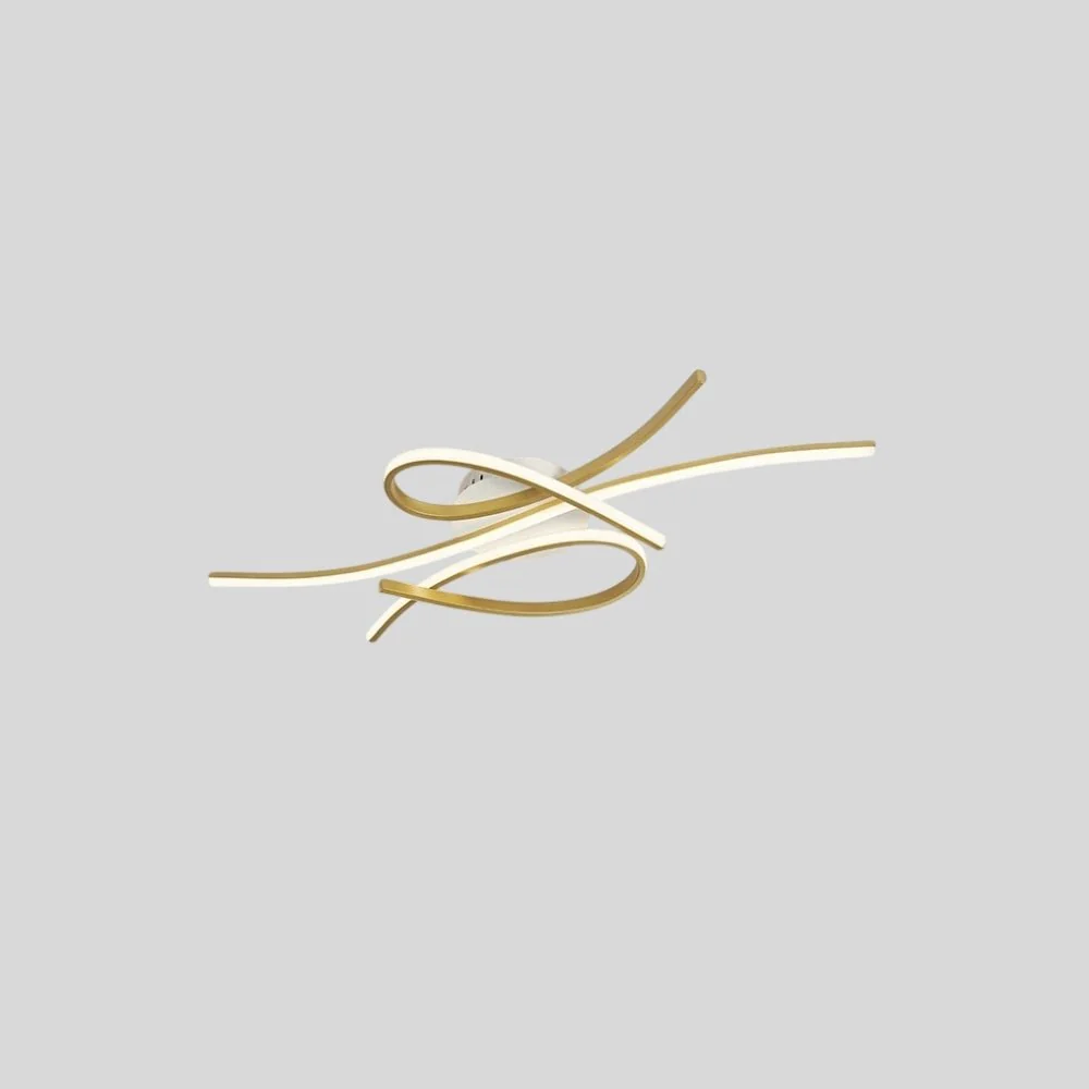 1 178.webp 13 64.webp