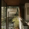 17.webp