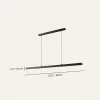 17 124.webp