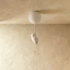 2 23.webp