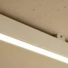 24 2.webp