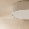 4 101.webp