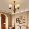 4 509.webp