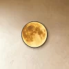 5 1089.webp