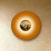 5 1162.webp
