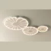 7 117.webp