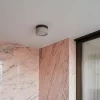8 100.webp