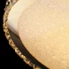 8 134.webp