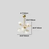 8 412.webp