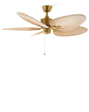 wl f42 04 v06 branat 1.jpg