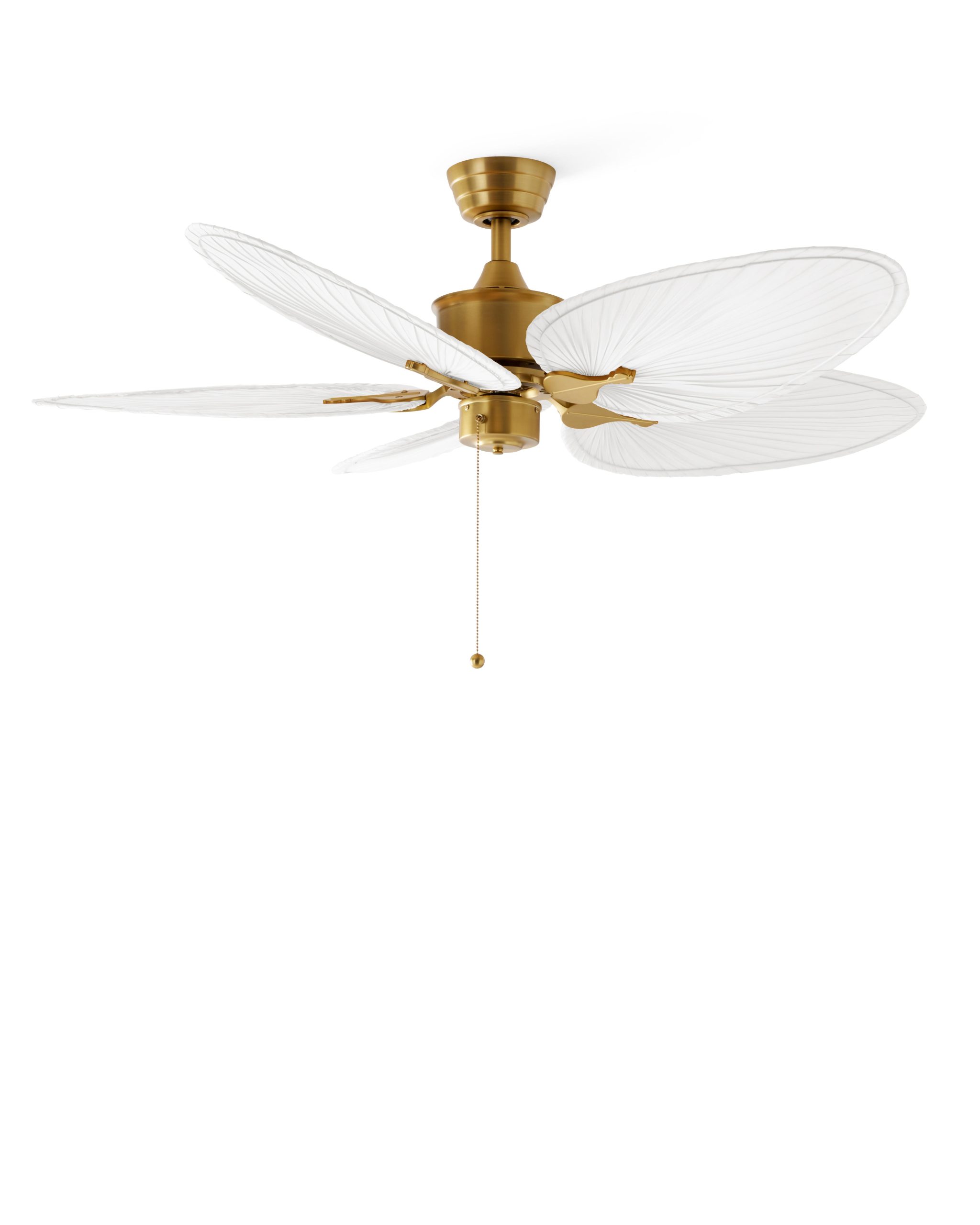wl f42 09 v03 whibra 1.jpg wl f42 09 v03 whibra 1.jpg