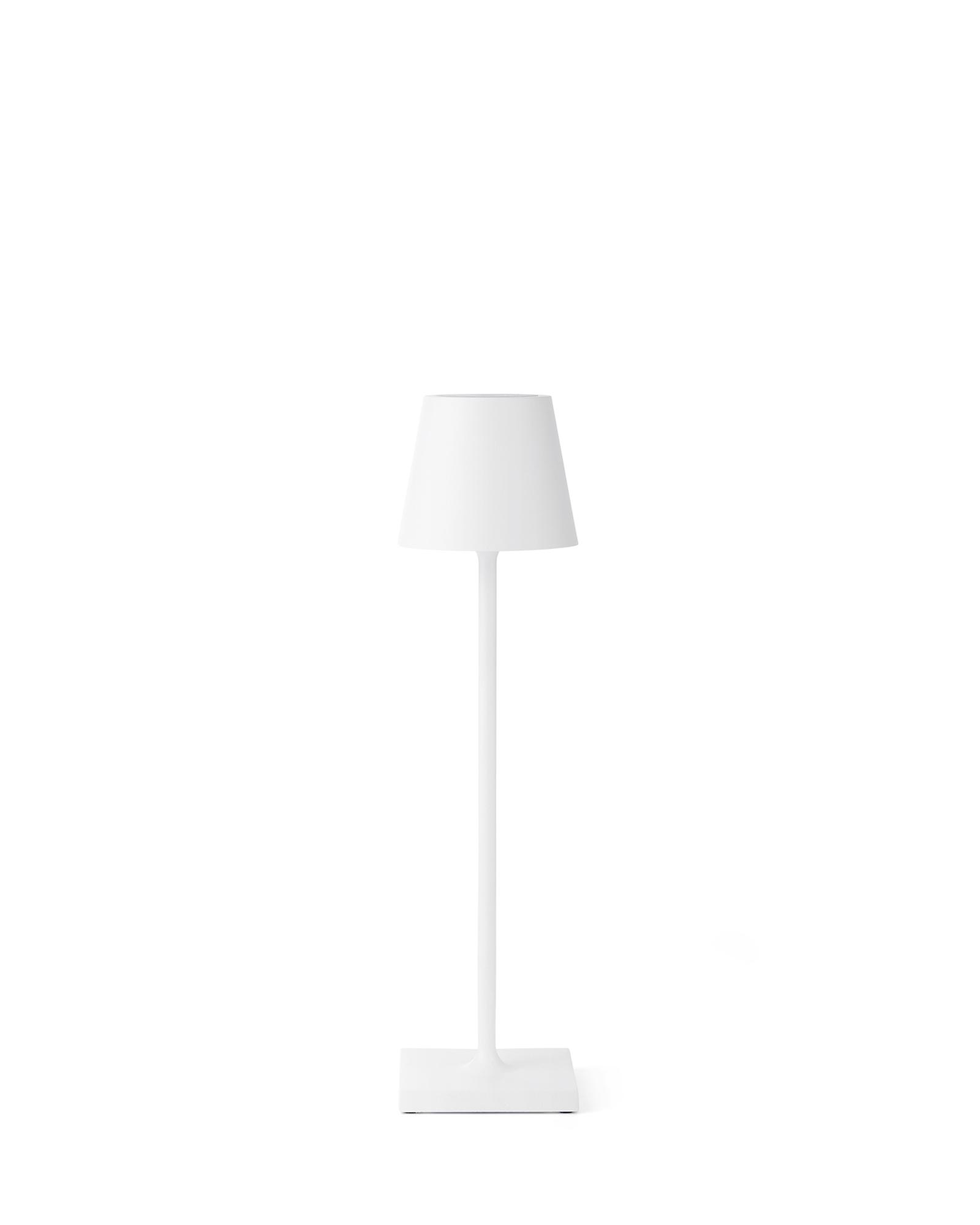 wl t311 1.jpg wl t311 1.jpg